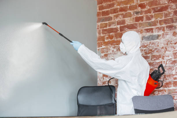 Cresaptown, MD Mold Removal Pros