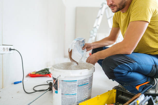 Best Environmental Consulting for Mold Prevention  in Cresaptown, MD