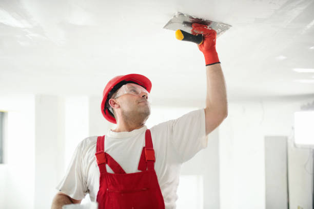Best Post-Construction Mold Inspection  in Cresaptown, MD