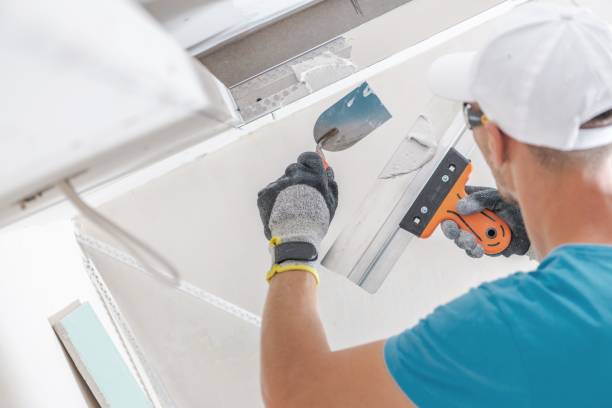 Best Real Estate Mold Inspection  in Cresaptown, MD